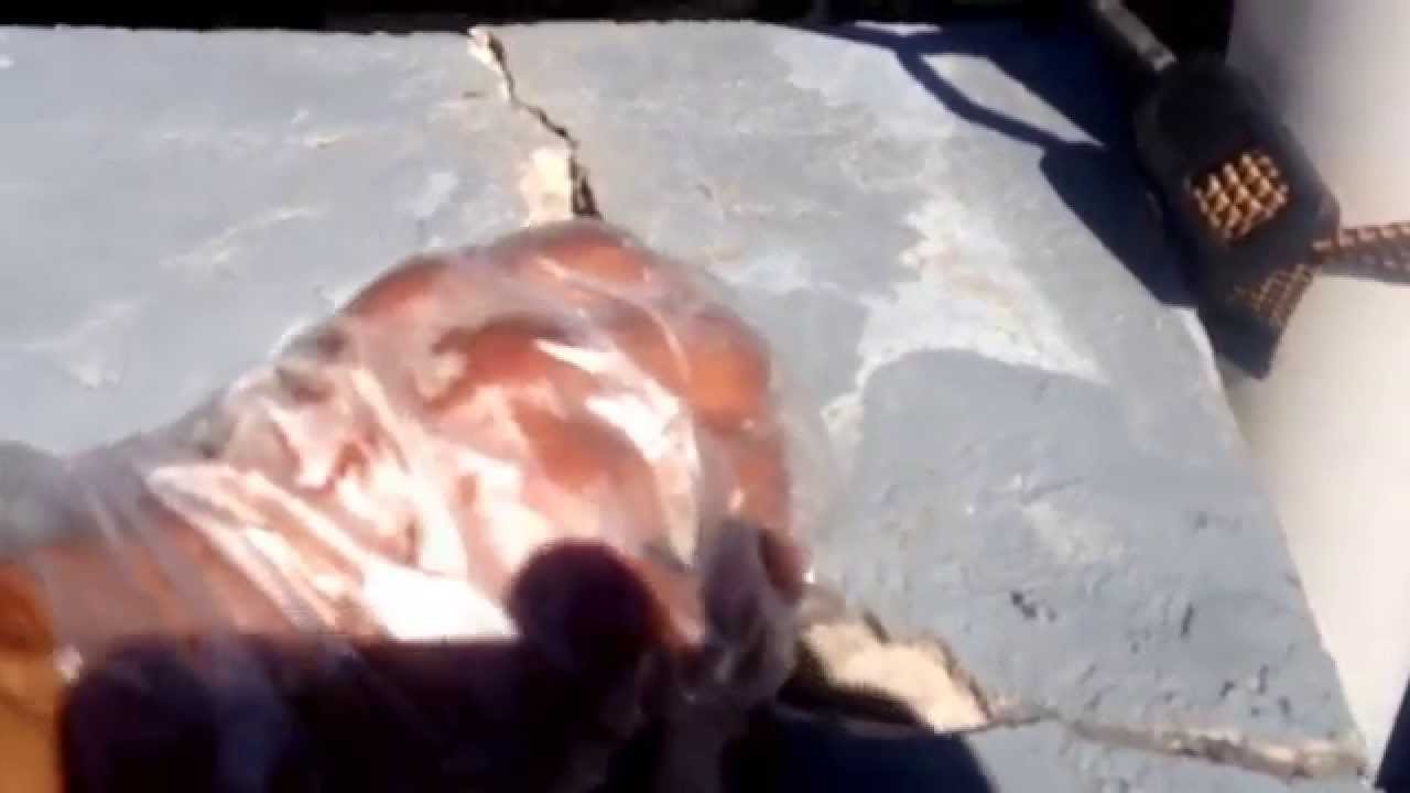 ProTex Coatings Concrete Dock Repair.        Instant High Strength Extreme Concrete Crack Repair
