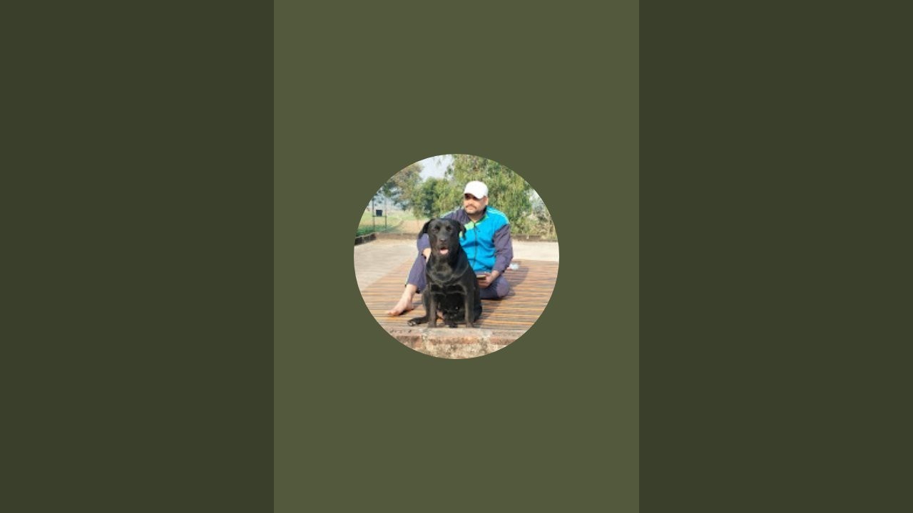 labra honey  is live!