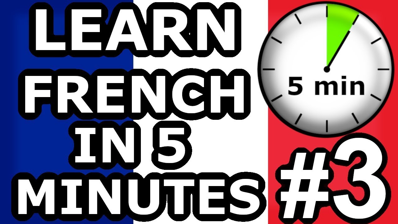 Learn French In 5 Minutes - Simple Sentences