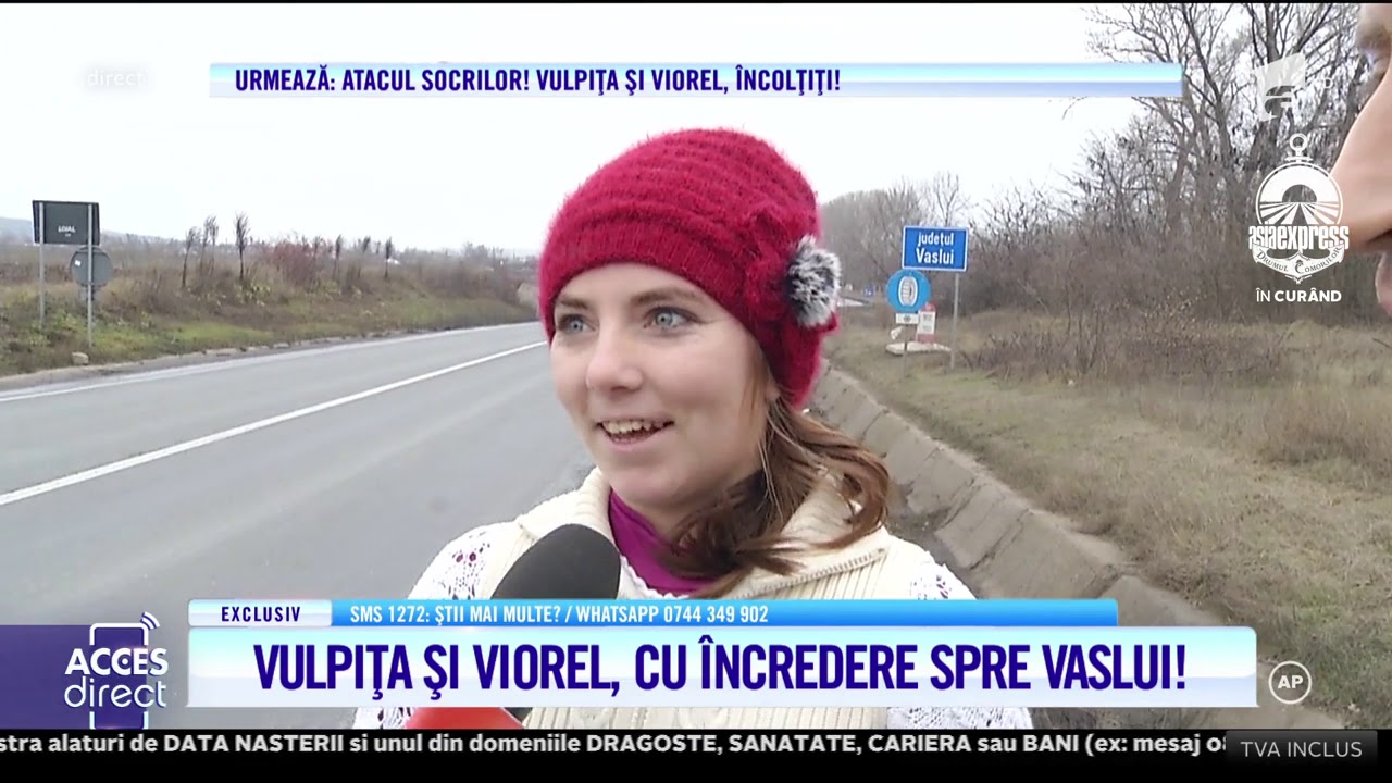 Vulpița și Viorel, drumul spre casă: 