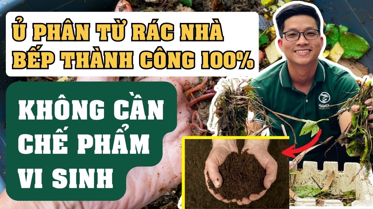 Tập 29 - Cách ủ phân hữu cơ thành công mà không cần dùng đến men vi sinh