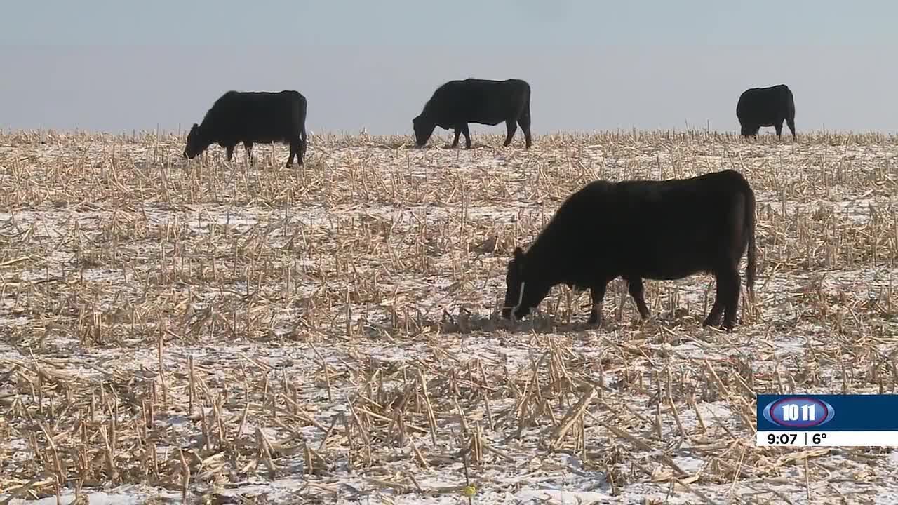 CommonGround Nebraska: Caring for animals in the cold