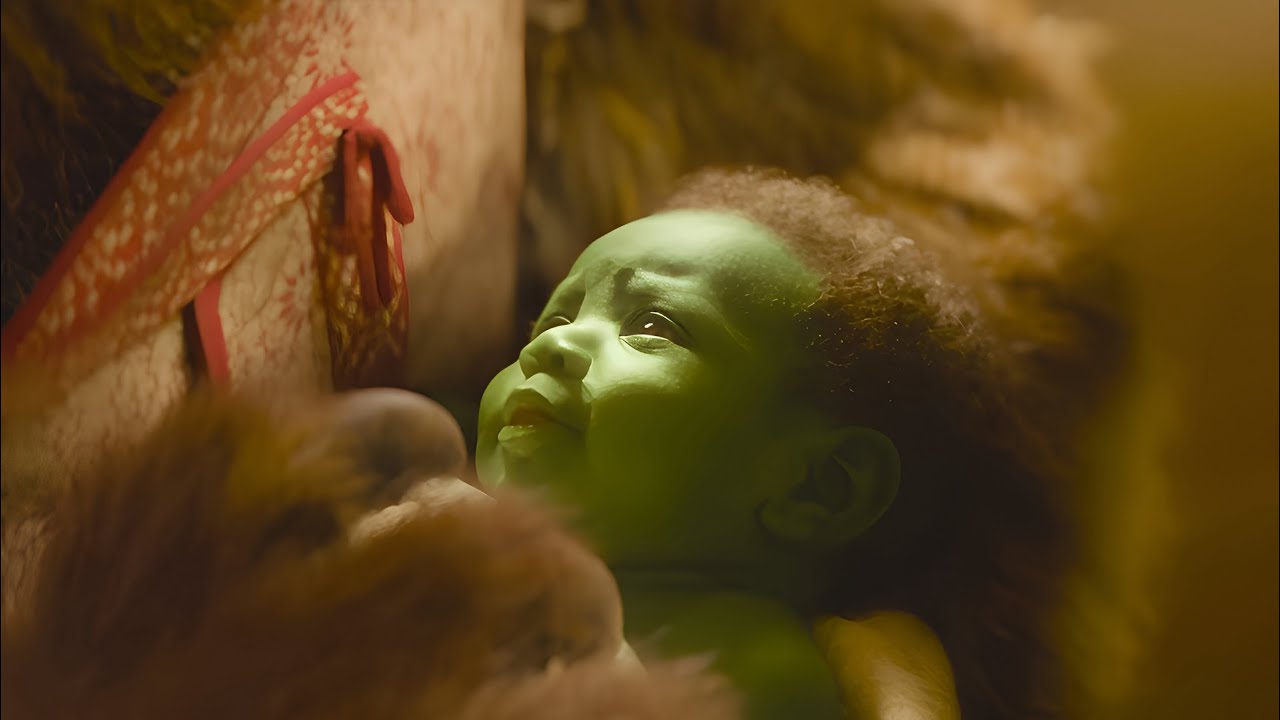A girl is born with green skin, and her parents reject her but she becomes the greatest sorceress.