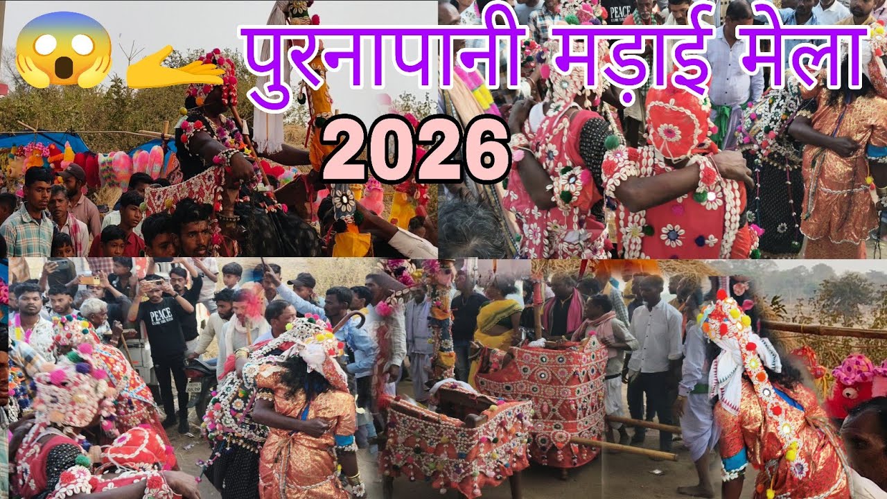 पुरनापानी मड़ाई मेला// पुरनापिनी मड़ाई मेला//Purna Pani Madai Mila//Purna Pani Madai mela 