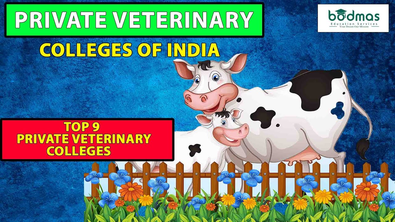Top 9 Private Veterinary Colleges Of India | Top Veterinary Colleges | Bodmas Medical