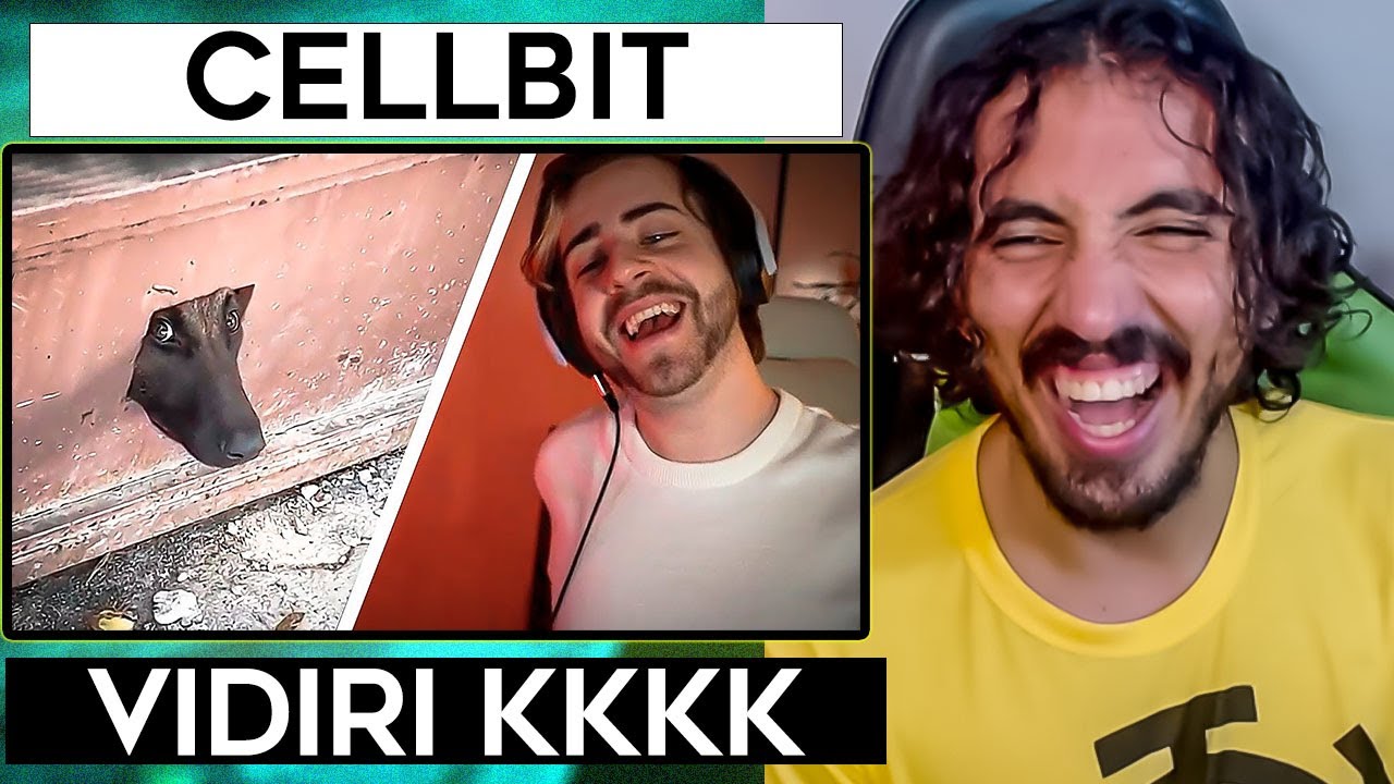 memes do reddit pra rir por mais de 20 minutos - Cellbit | Leozin React