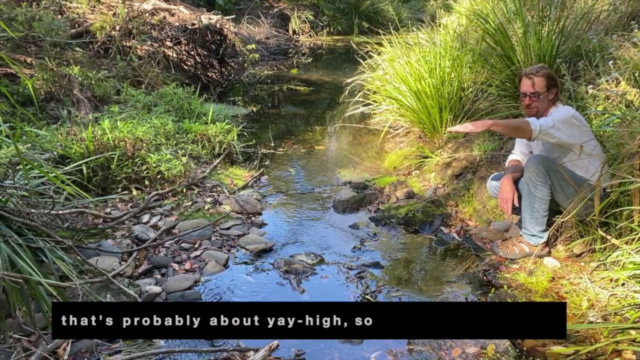 Thora Valley Leaky Weir Design