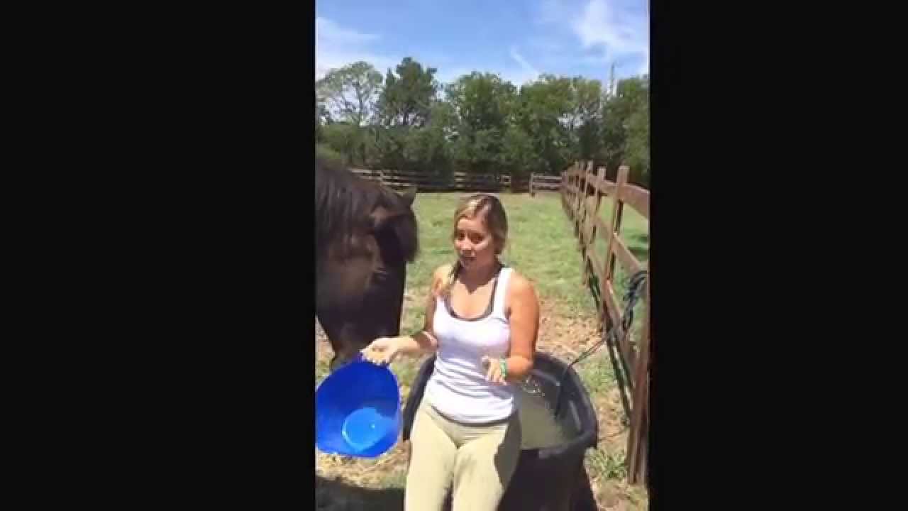 The Water Trough Challenge