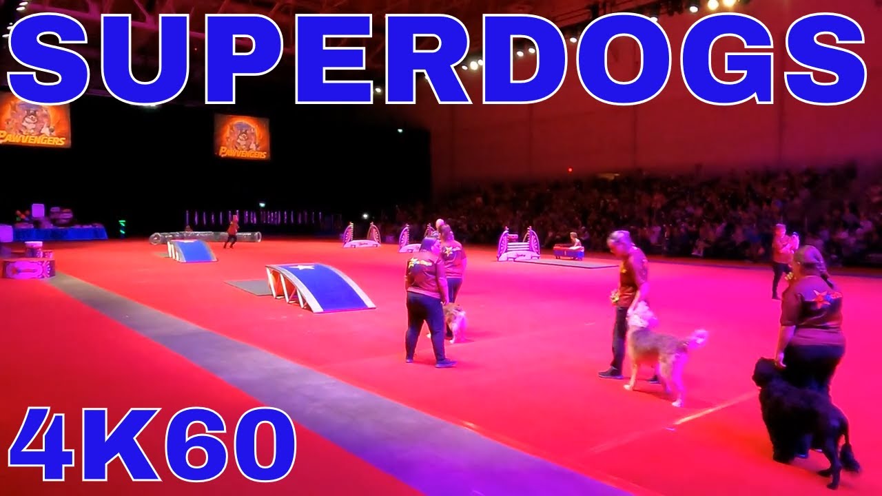 PAWVENGERS SUPERDOGS SHOW - CNE DOG SHOW -  Toronto  - Summer 2022 - Go-pro hero 9 4k60