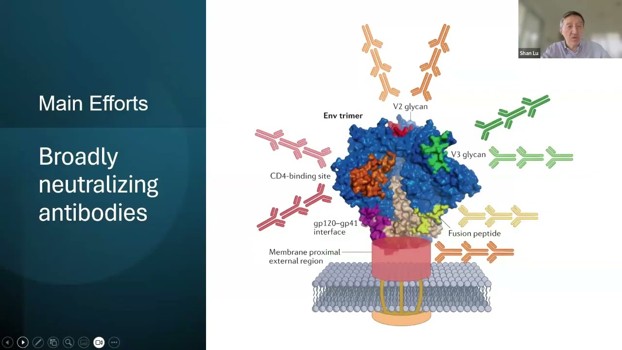HIV Vaccines Beyond Neutralizing Antibodies