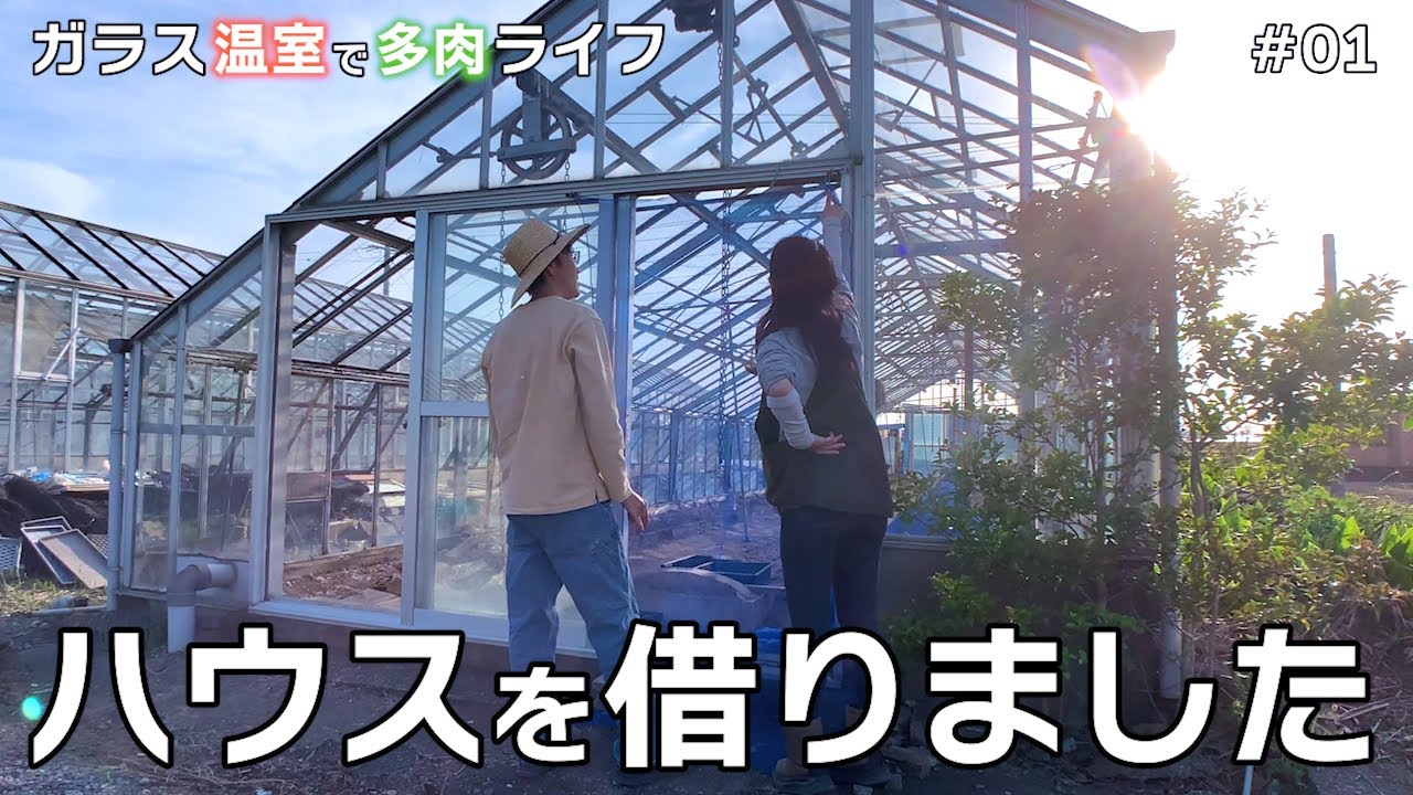 【待望】メロン栽培のガラス温室で多肉を育てることになりました ＃01