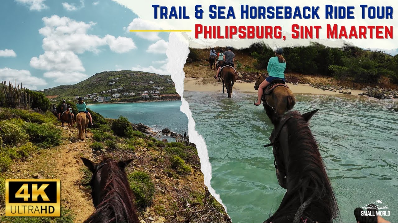 Philipsburg, Sint Maarten | Trail & Sea Horseback Ride Shore Excursion - Full Tour (with captions)
