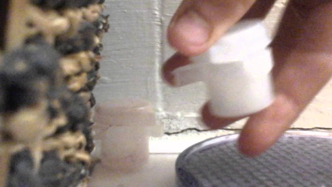 How to make REAL fairy dust!