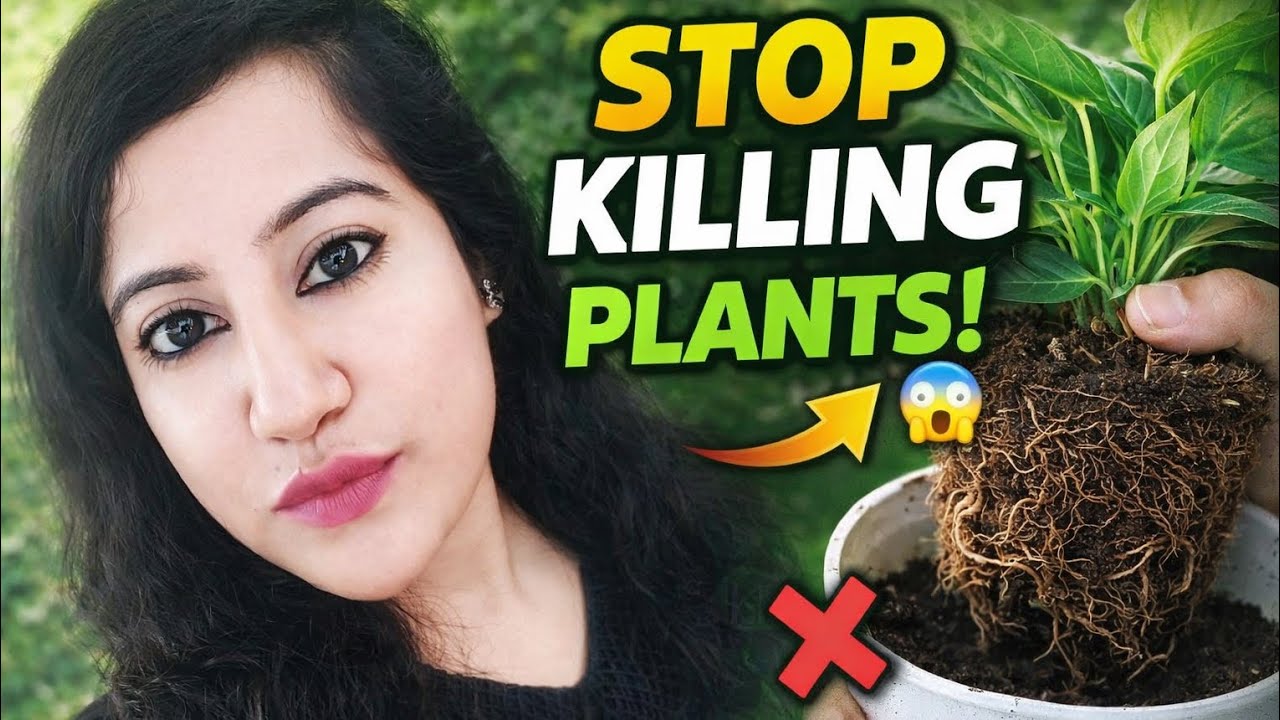Repotting Indoor Plants Made Easy 🌿🌿| Beginner to Pro Full Guide #homegarden #indoor plants 🍁🍁