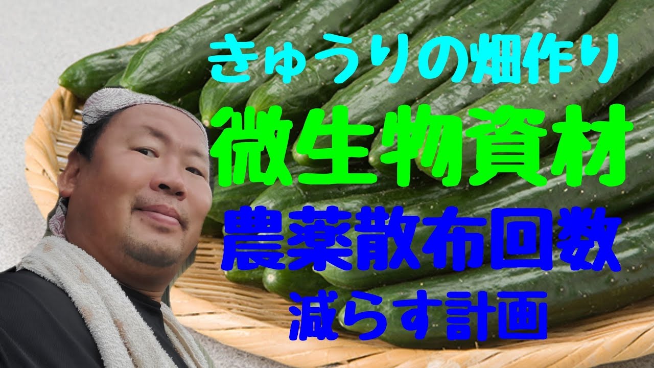 【きゅうりの 耕種的防除】きゅうりの土作りと薬剤散布を抑える為の資材説明。#きゅうりの畑作り# 耕種的防除#微生物資材
