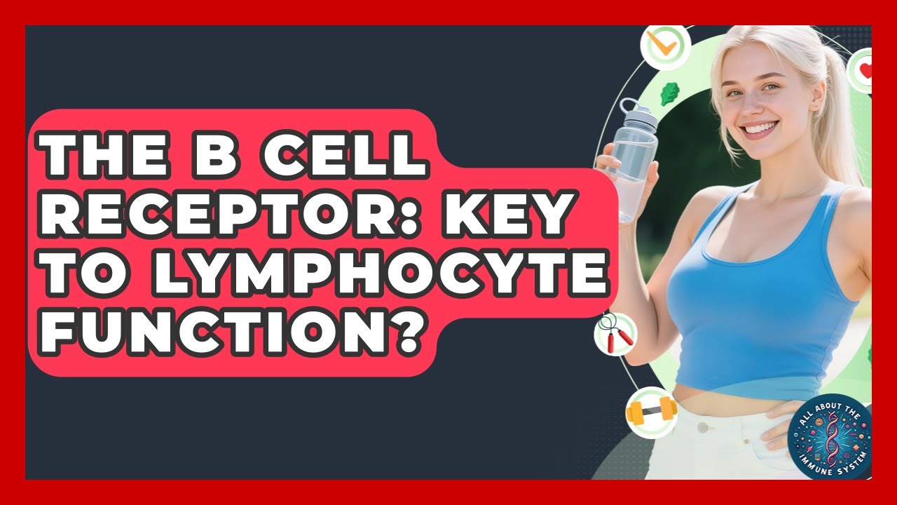 The B Cell Receptor: Key To Lymphocyte Function? - All About the Immune System