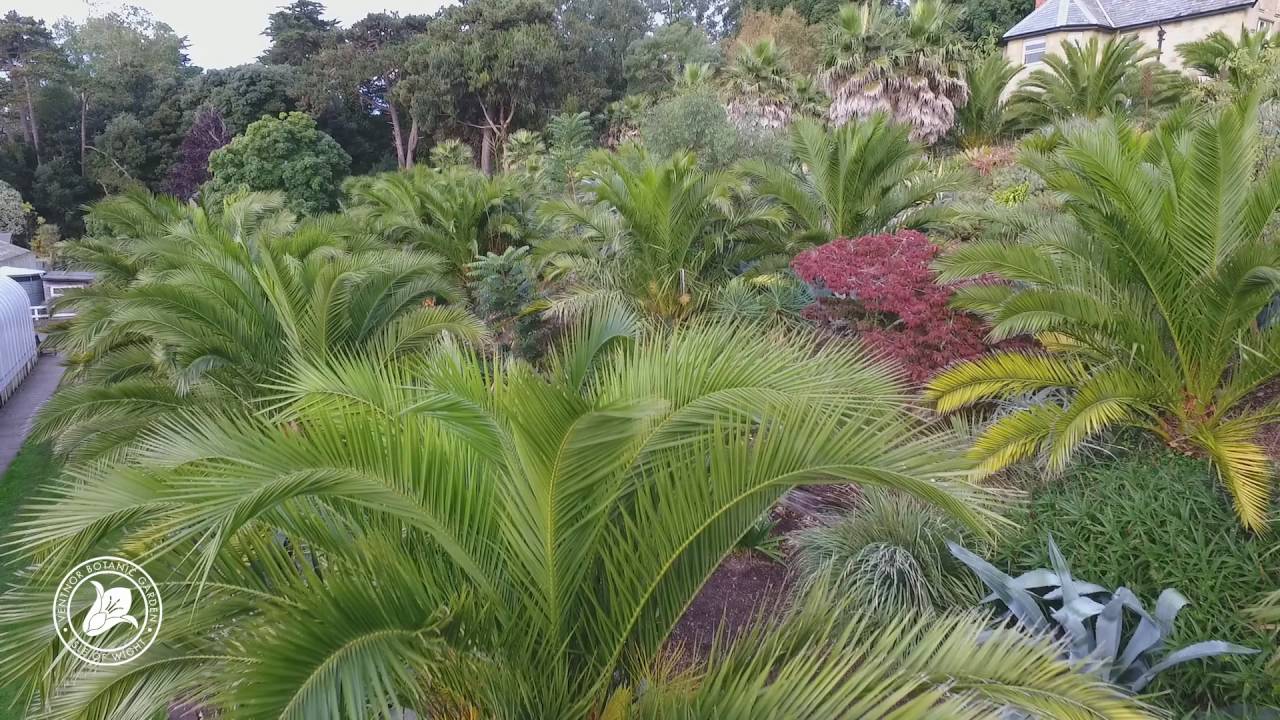 Ventnor Botanical Gardens
