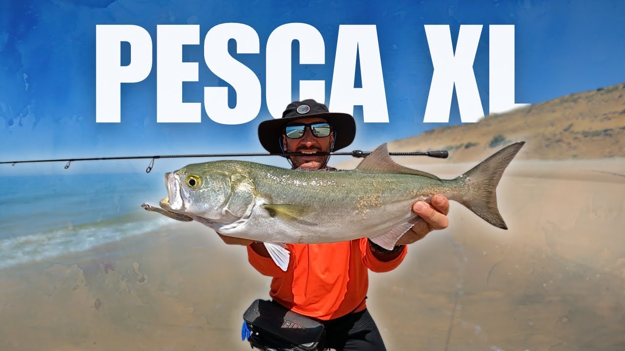 ¿Puedes SUPERAR esta PESCA en SUPERFICIE a SPINNING desde PLAYA? (1/2)