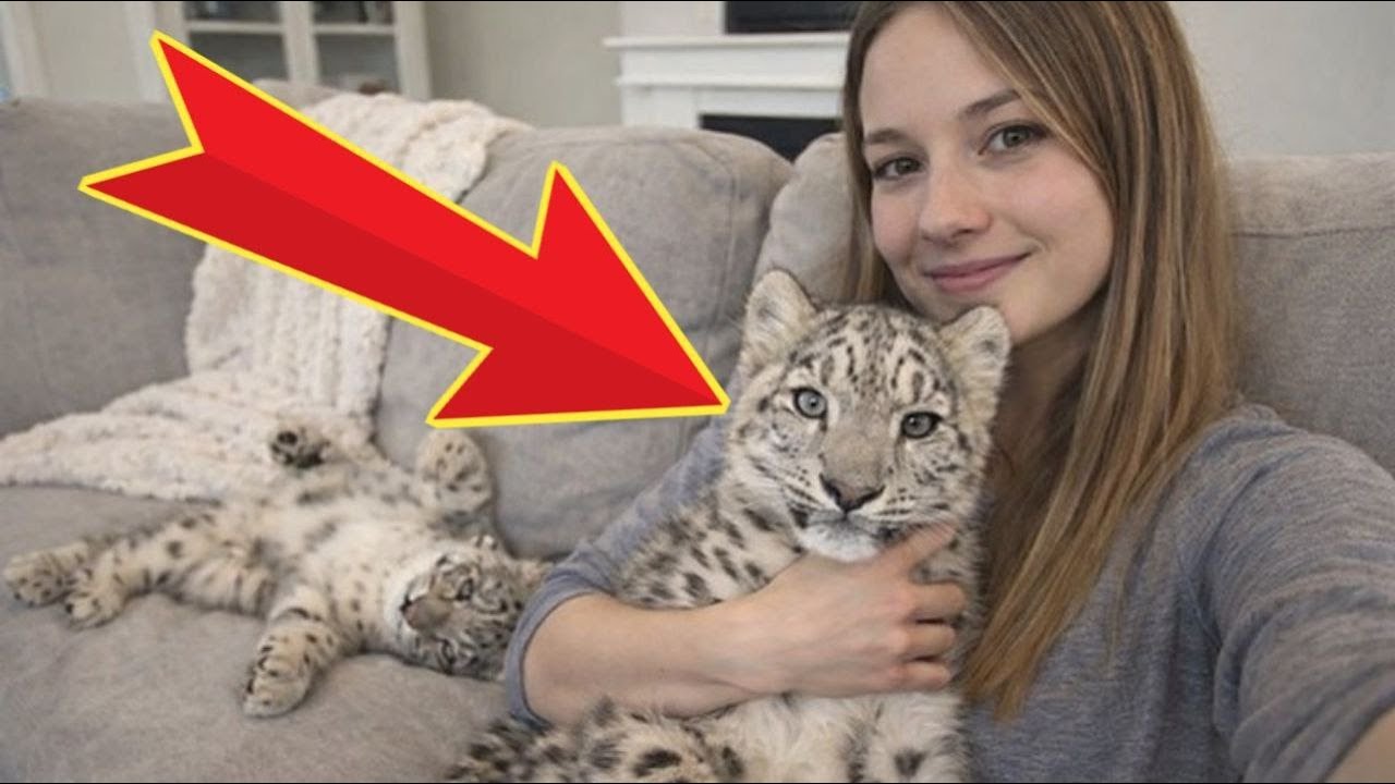 He thinks he is a House Cat… (He is NOT) 😂