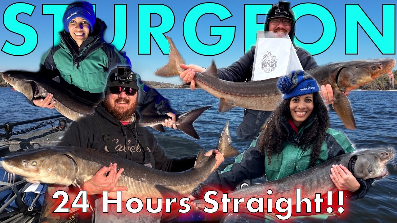 24 HOURS of Nonstop Sturgeon Fishing on the St. Croix River! | Fall Sturgeon Contest (Minnesota)