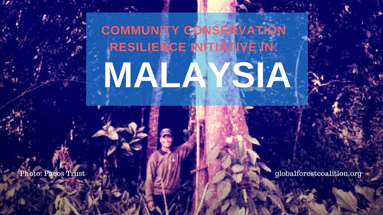 Community Conservation Resilience Initiative (CCRI) in Sabah, Malaysia