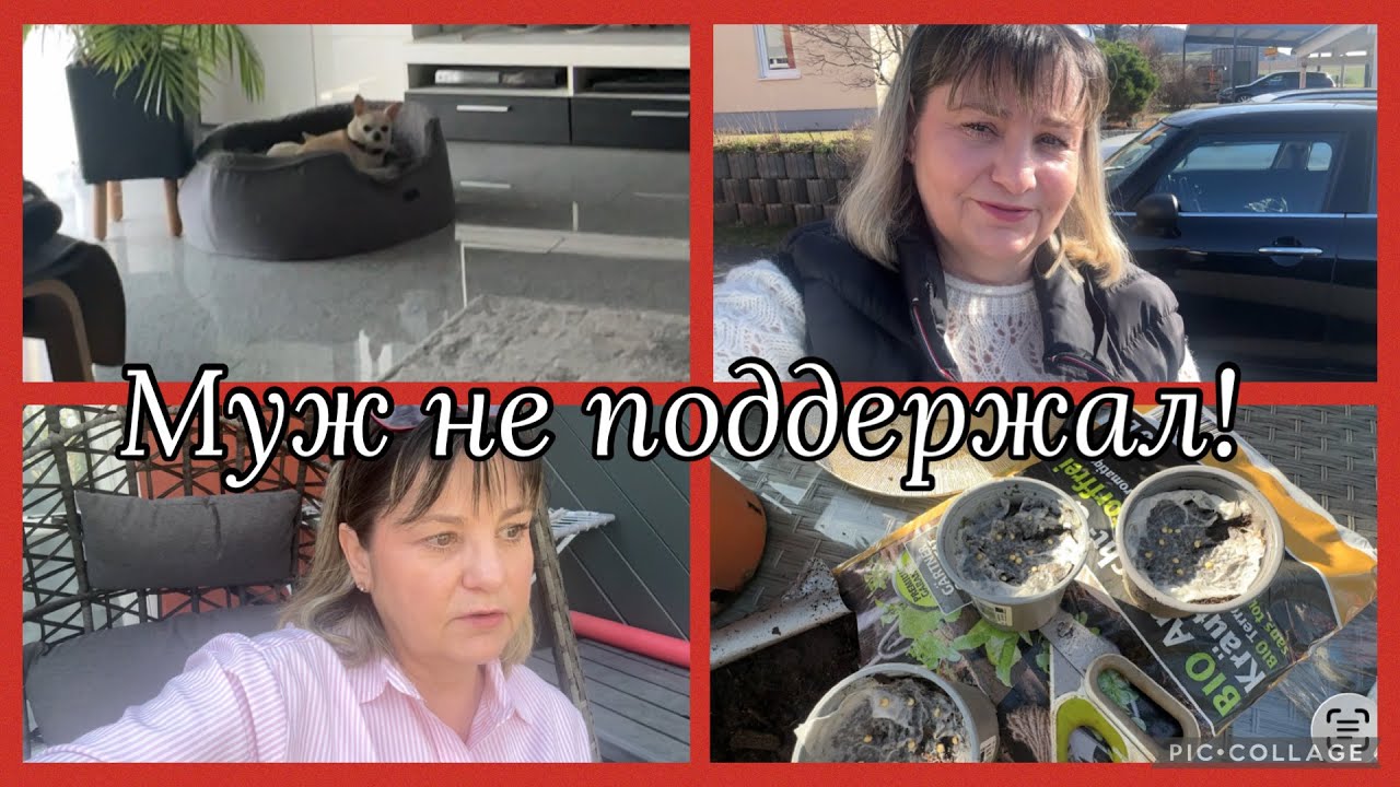 Сделала предложение,муж не поддержал,семейные традиции, в Казахстане было лимонное дерево,закупка. 