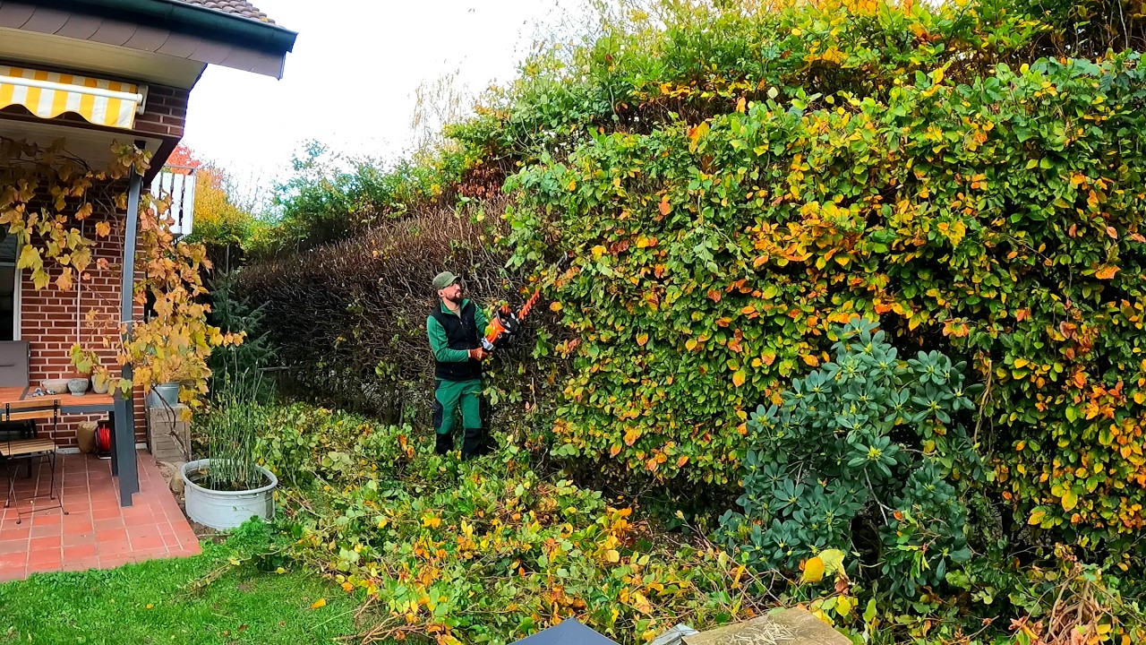 I UNDERESTIMATED The Amount Of WORK Trimming An Overgrown Hedge