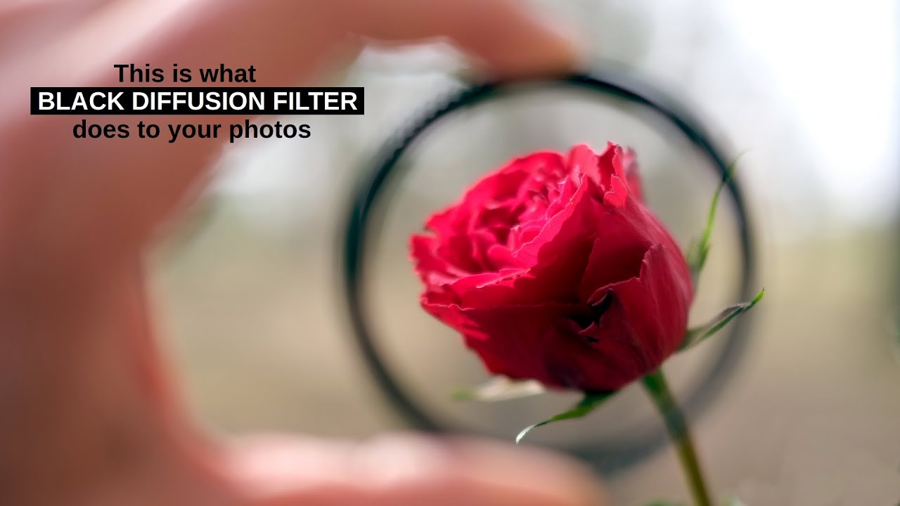 Do you need a BLACK DIFFUSION filter? -- See if & why!