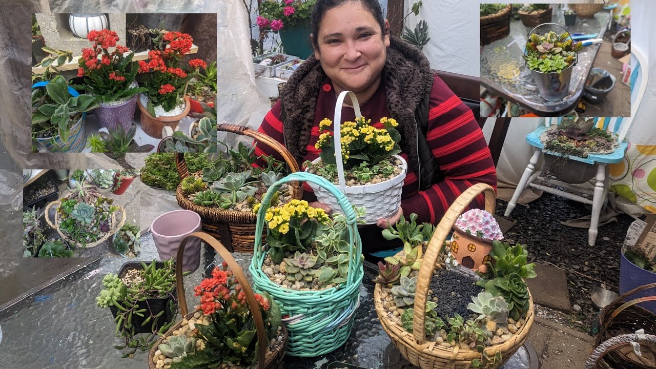 preparándome para ir a vender a la feria/ mis arreglos de suculentas
