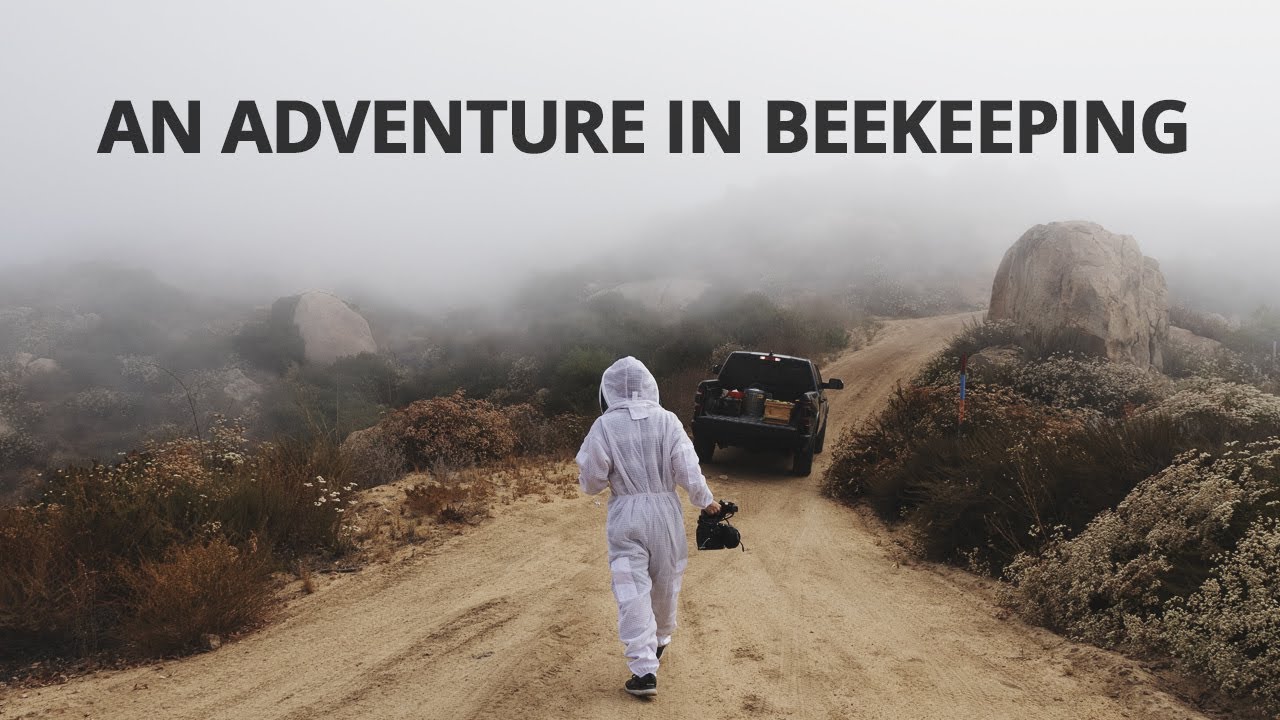 Canon C200: Beekeeping Documentary