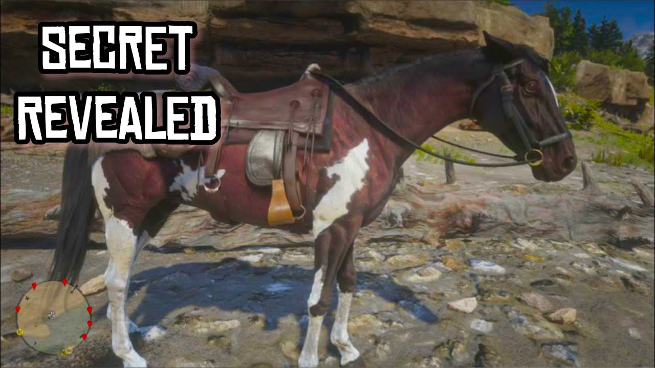RDR2 - Revealing The Secret | The Mystery of The Rare Mahogany Bay Tennessee Walker