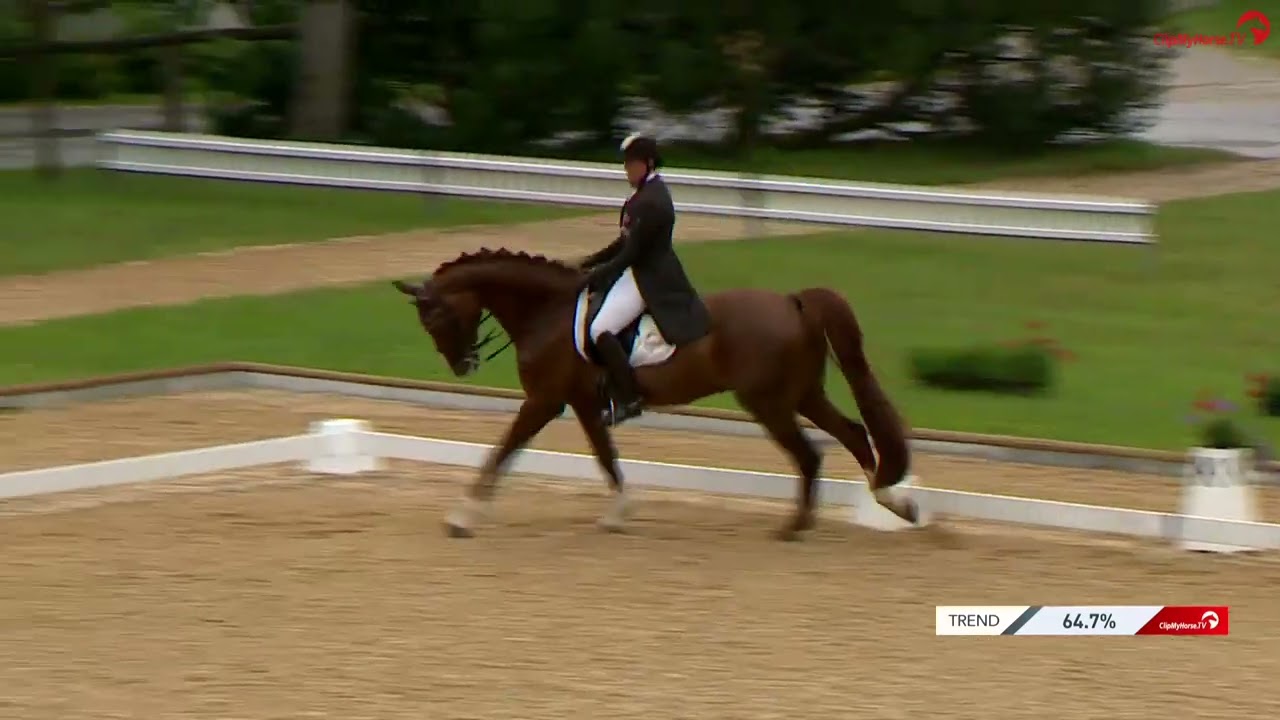CDI4* Schindlhof Fritzens, B05 GP de Dressage Consolation 3. Platz Amanda Hartung auf Fürst Flipper