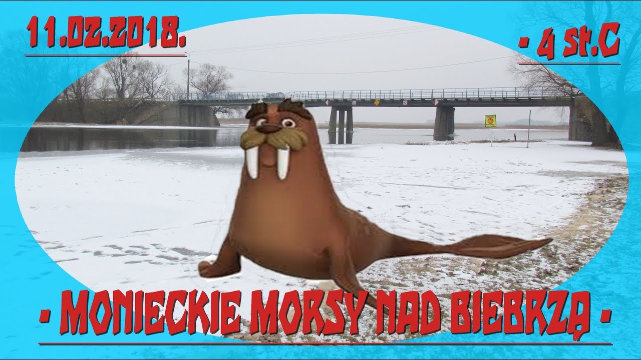 Monieckie Morsy 11.02.2018