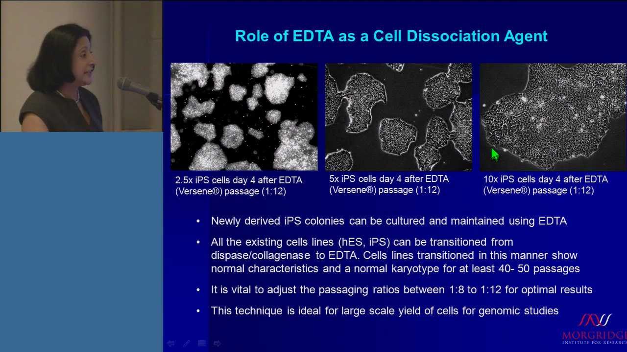 The Evolution of PSC Culture Media: Passaging of PSCs in Essential 8&trade; Medium with EDTA