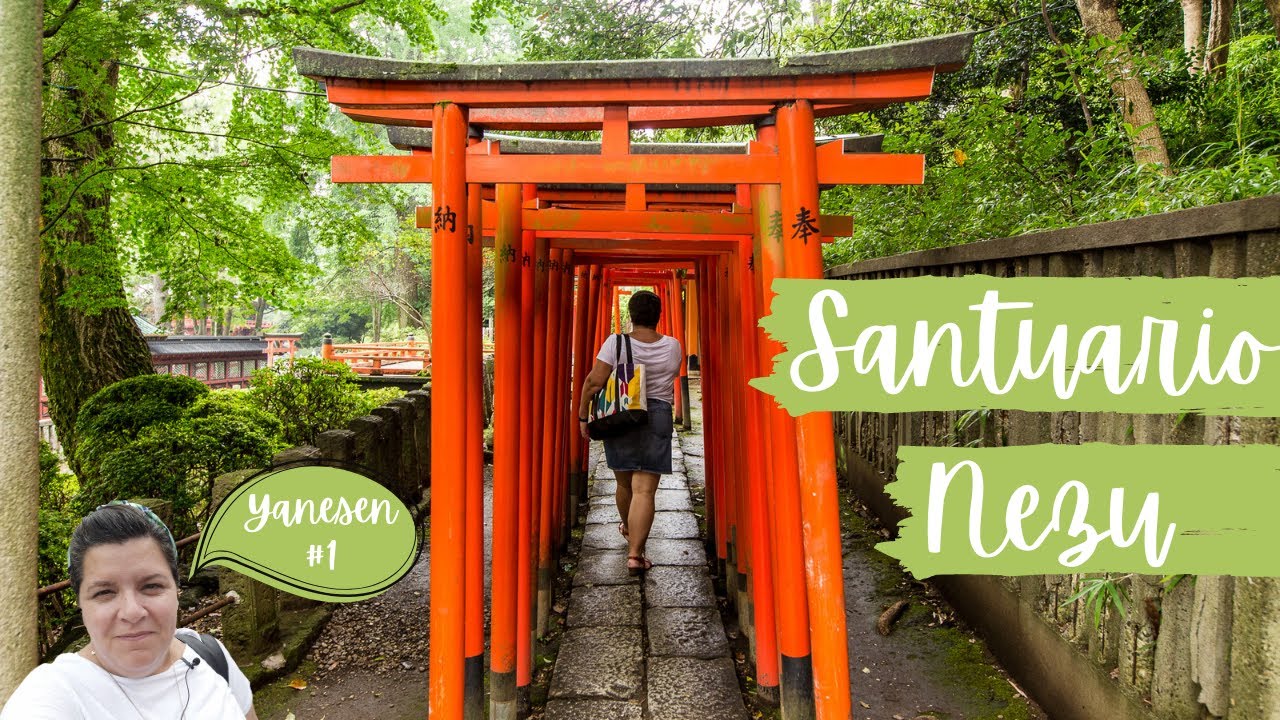 PASEO POR EL SANTUARIO NEZU (YANESEN #1, JAPÓN)