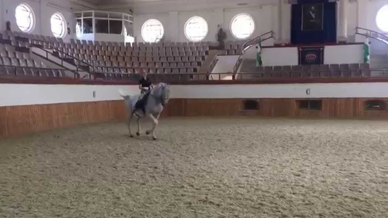 Blanka Satora en el Passage y Paso Español en la Fundacion Real Escuela Andaluza del Arte Ecuestre