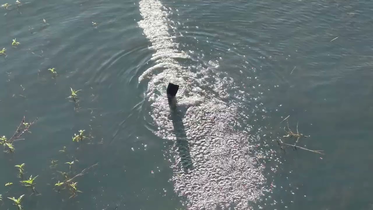 Reprêsa de furnas pescar com Arpão 4k DJI mini 5 pro