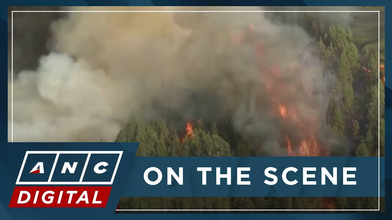 Thousands evacuated as Tenerife, Spain wildfire spreads | ANC