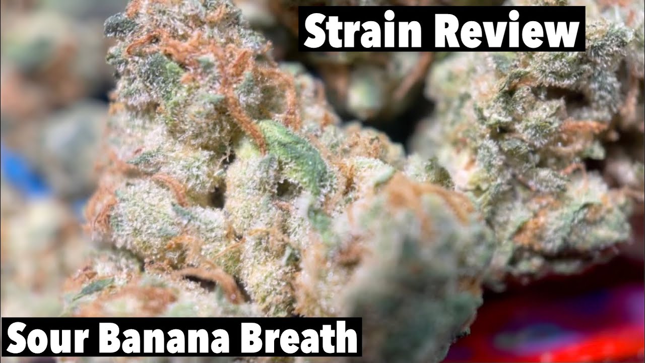 Smoking Sour Banana Breath! (Choosing Weed Strains)