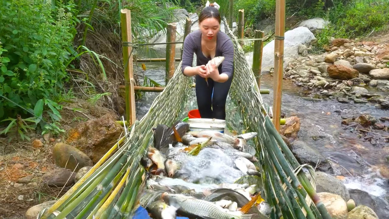 Genius DIY Fish Trap - Catching Tons of Fish Effortlessly & Selling at Village Market