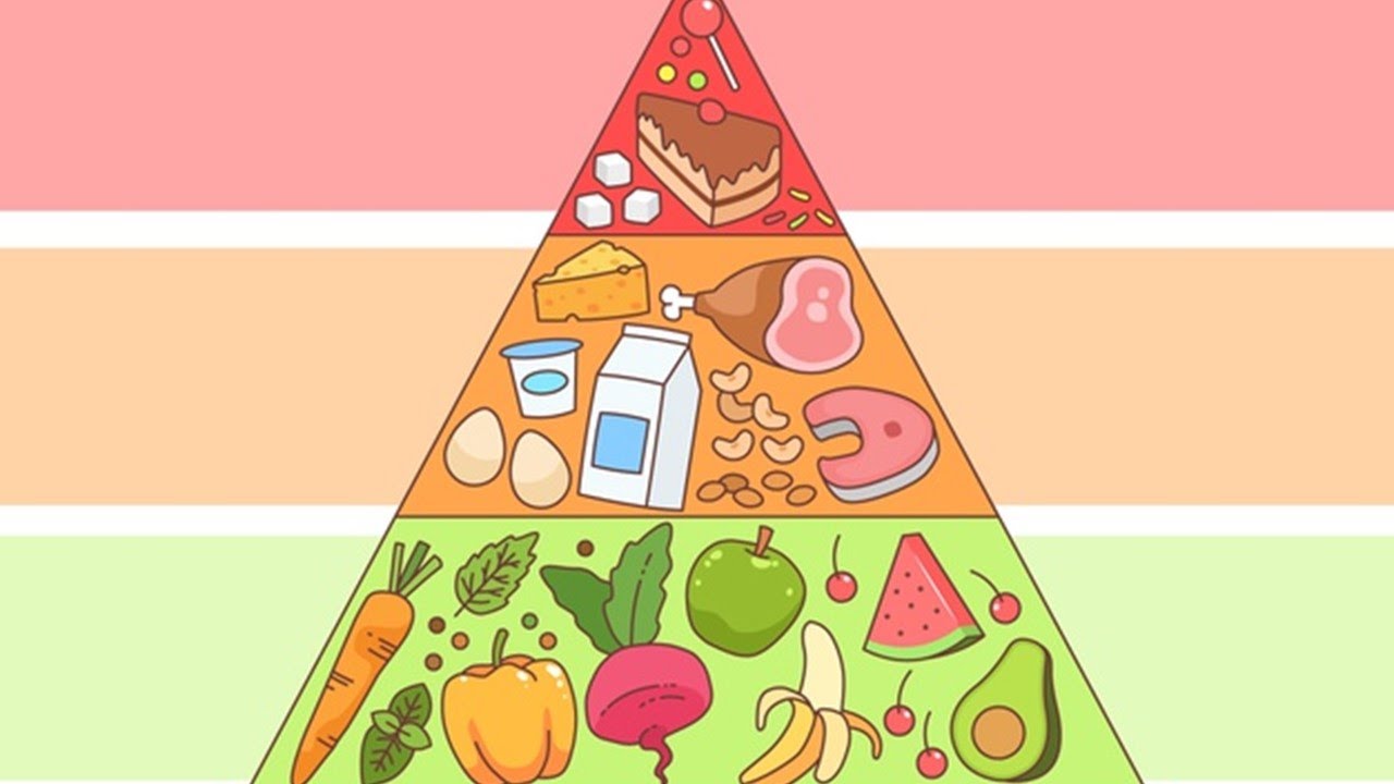 &iquest;Qu&eacute; es la PIR&Aacute;MIDE ALIMENTICIA?
