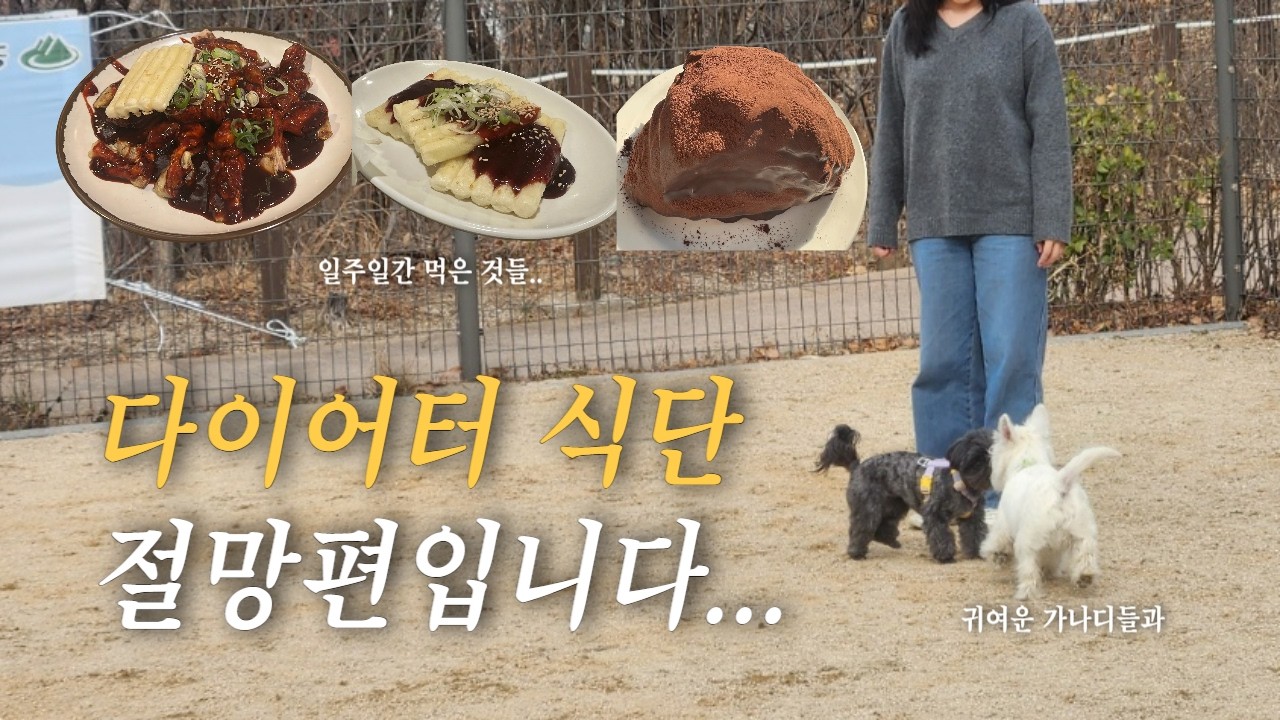 직장인 다이어터의 식단 절망편 (보통에서 마름..힘들다.)