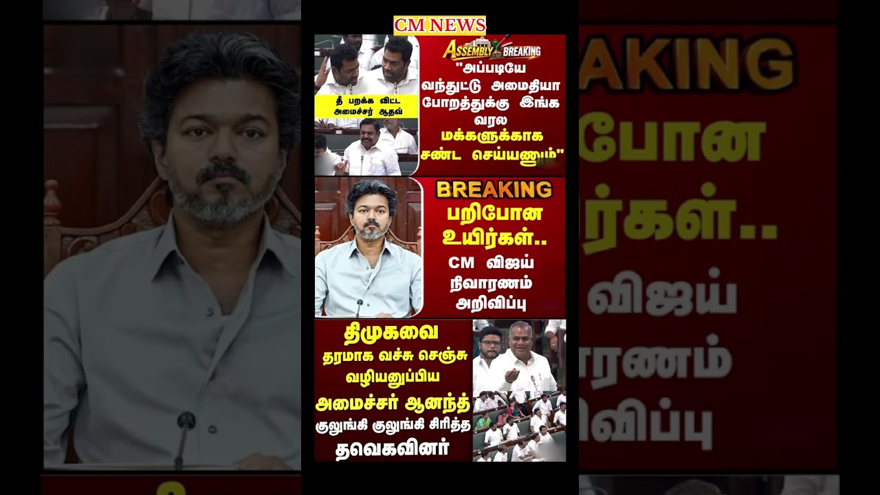 TVK Thalapathy vijay anna || #tvk#dmk#admk#congress#bjp#breakingnews#news#thalapathy#vijay
