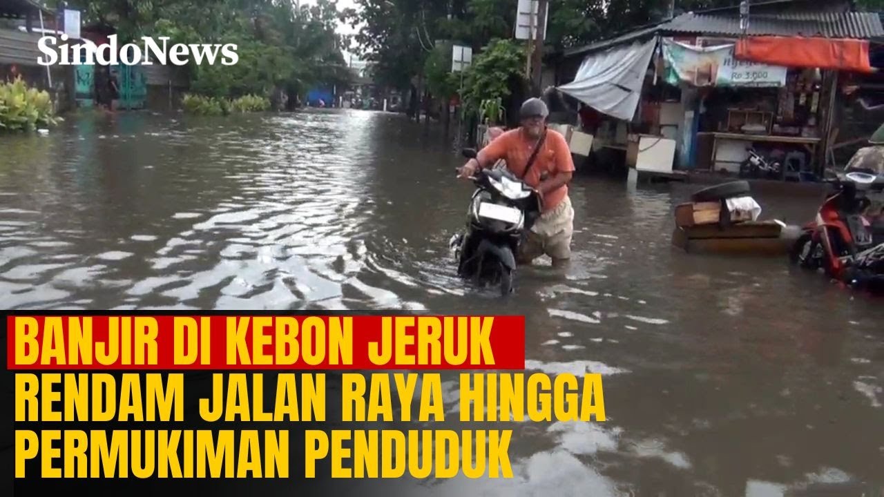 Banjir Rendam Jalan Patra Kebon Jeruk, Jalan Raya hingga Permukiman Warga Tergenang | Sindo Trending