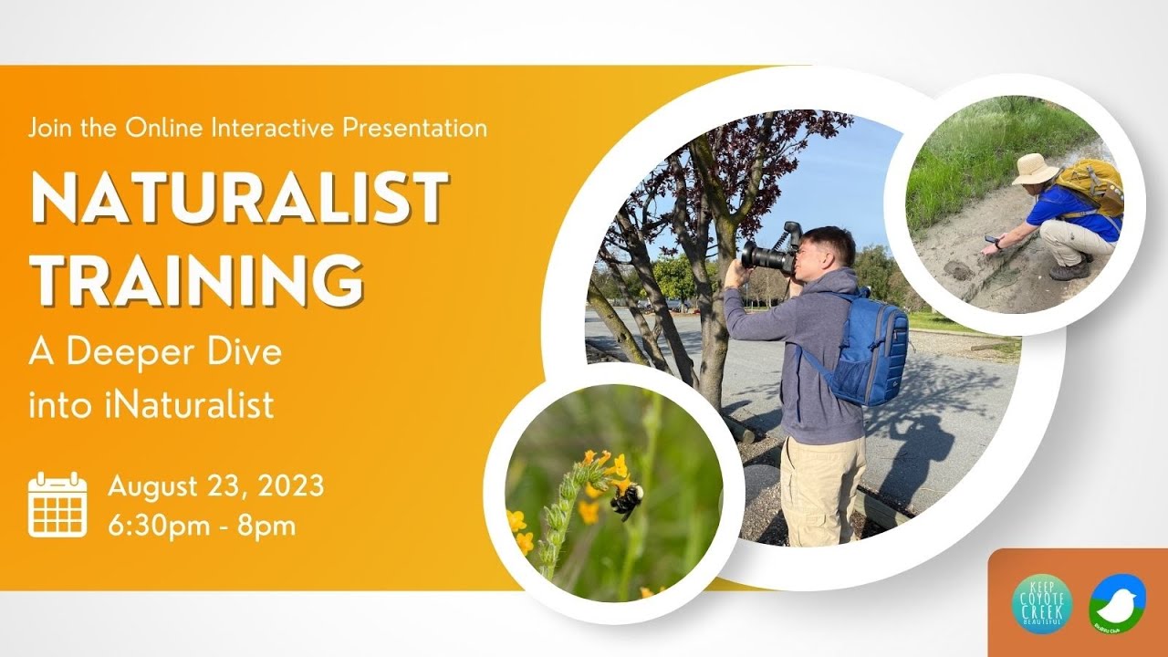 Naturalist Training - A Deeper Dive into iNaturalist