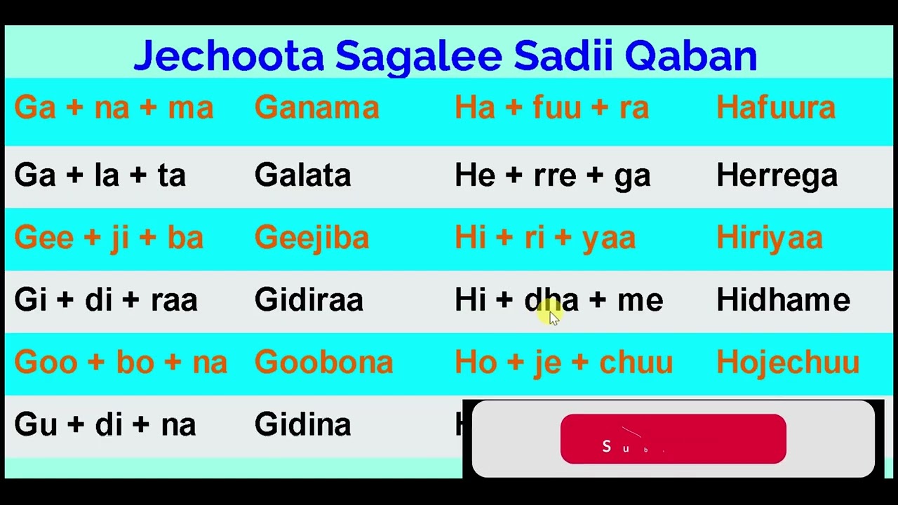 Jechoota sagalee sadii qaban  kutaa 2ffaa || words with Three sound part 2