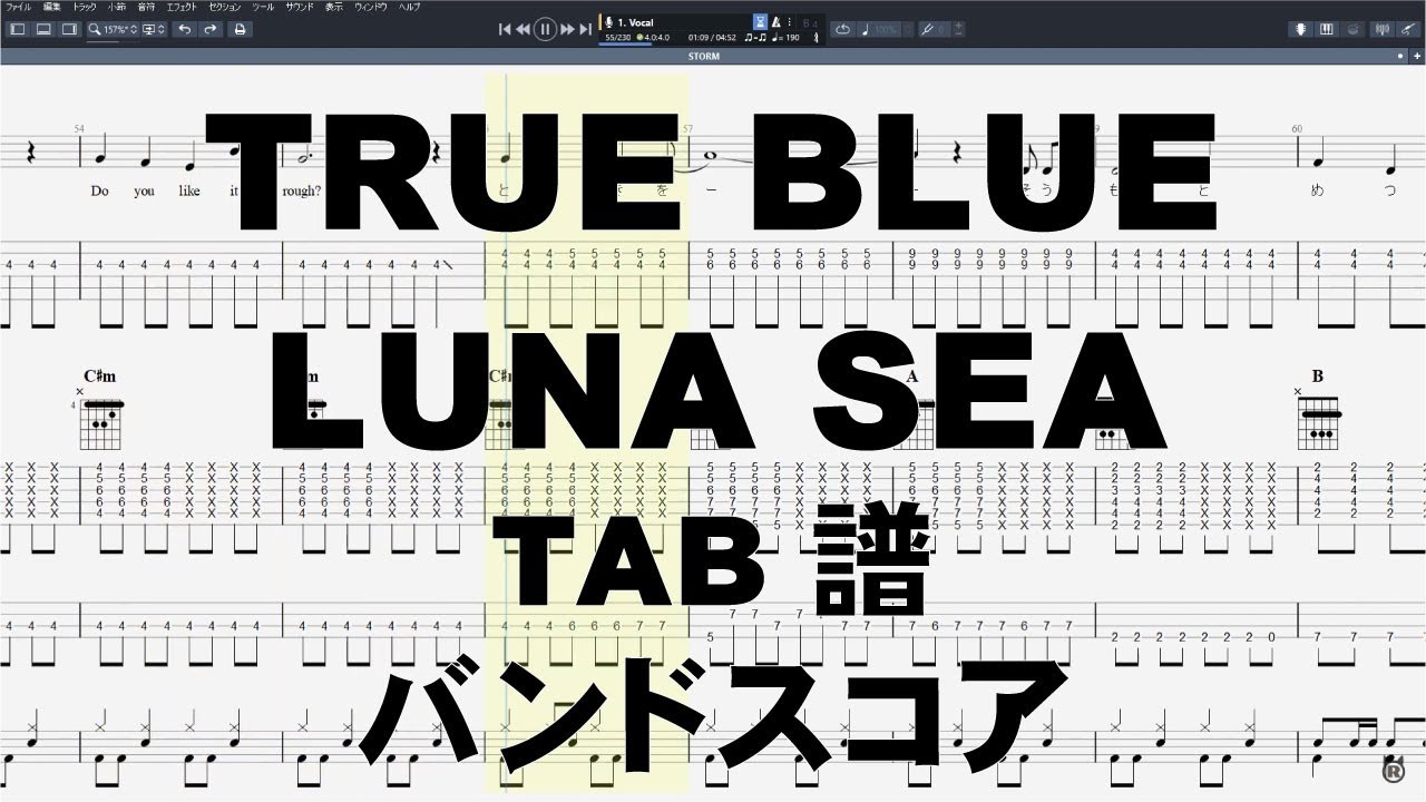 TRUE BLUE トゥルーブルー ギター ベース TAB 【 LUNA SEA ルナシー 】 バンドスコア