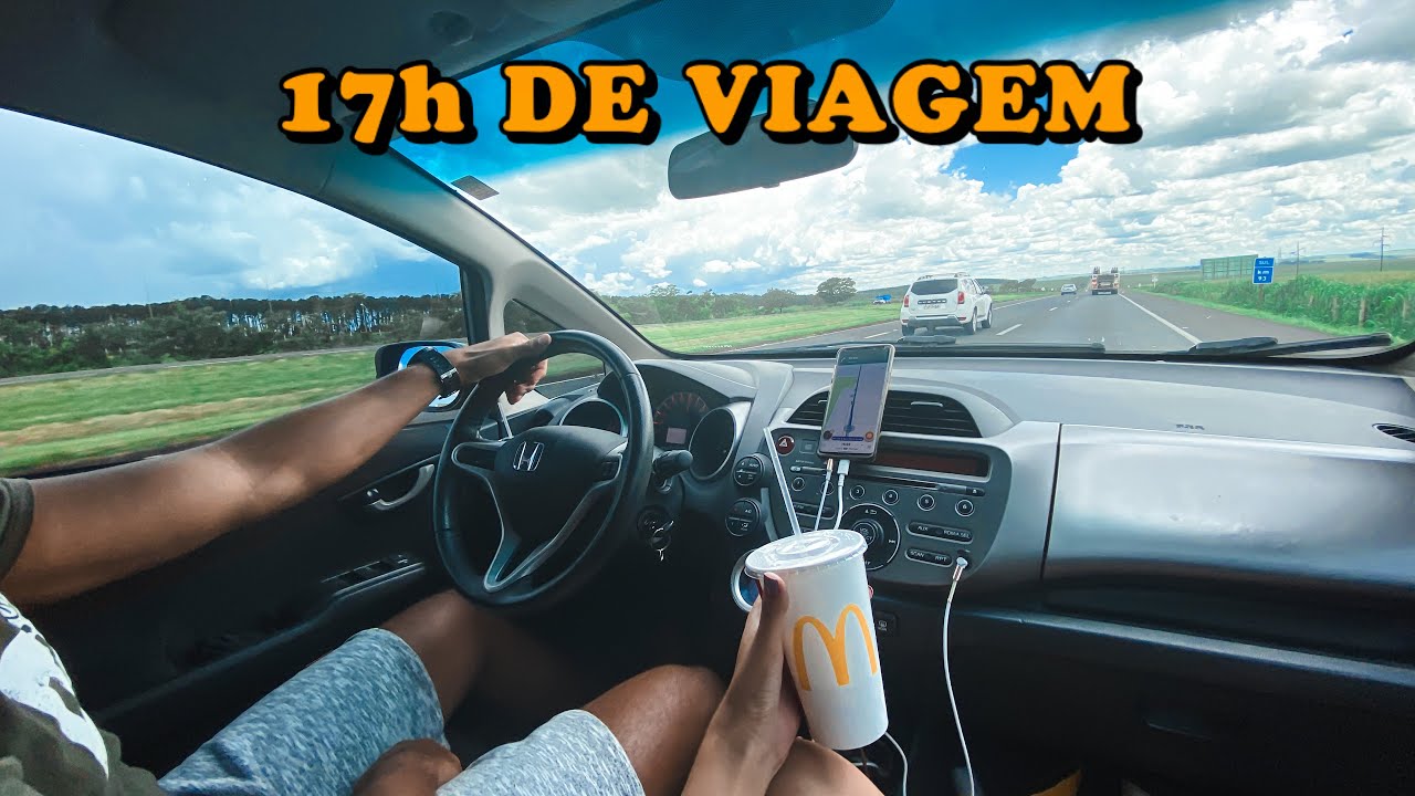 FOMOS DE CARRO DE BRASÍLIA PRA CURITIBA 😱 | 17h dirigindo + levamos nosso cachorro