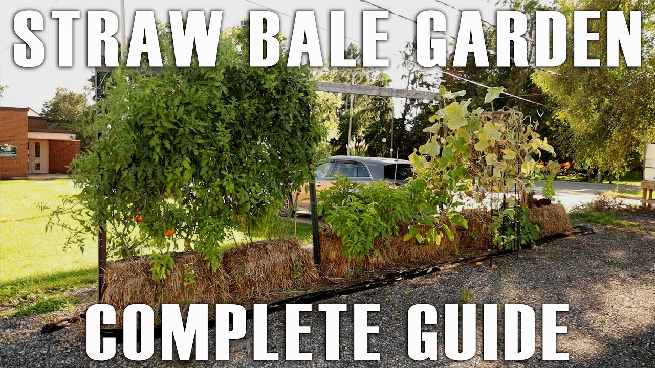 How to Grow a Straw Bale Garden
