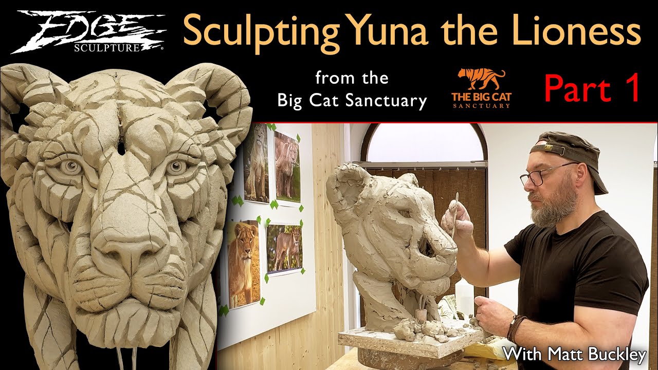 Sculpting a Lioness in Clay by Matt Buckley | Edge Sculpture | The Big Cat Sanctuary | Part 1